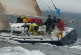 tanit gbr731t mon ss09 gjc 7994